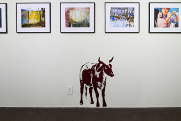 cow and wall photos at lux